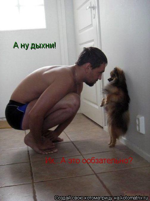 А ну дыхни! Ик...А это ообзательно?... Котоматрица: А ну дыхни! Ик...А это ообзательно?