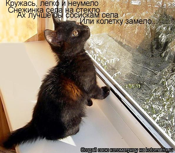 Кружась, легко и неумело Снежинка села на стекло Ах лучше бы сосискам села Или колетку замело...... Котоматрица: Кружась, легко и неумело Снежинка села на стекло Ах лучше бы сосискам села Или колетку замело...
