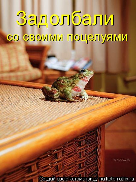 Котоматрица: Задолбали  со своими поцелуями
