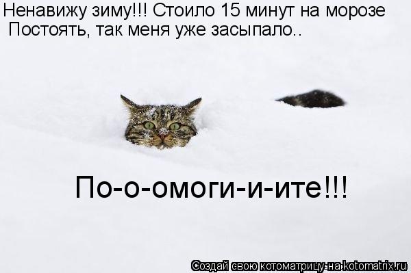 Ненавижу зиму!!! Стоило 15 минут на морозе Постоять, так меня уже засыпало.. По-о-омоги-и-ите!!!... Котоматрица: Ненавижу зиму!!! Стоило 15 минут на морозе Постоять, так меня уже засыпало.. По-о-омоги-и-ите!!!