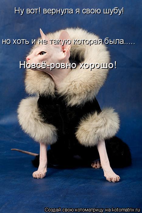 Ну вот! вернула я свою шубу! но хоть и не такую которая была..... Новсё-ровно хорошо!... Котоматрица: Ну вот! вернула я свою шубу! но хоть и не такую которая была..... Новсё-ровно хорошо!