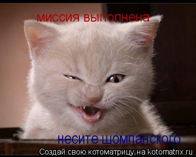 миссия выполнена несите шомпанского... Котоматрица: миссия выполнена несите шомпанского