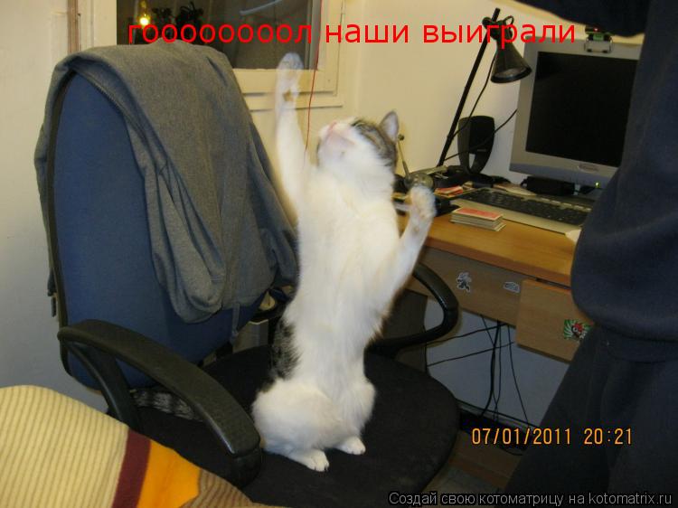 Котоматрица: гоооооооол наши выиграли
