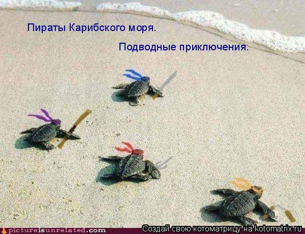 Пираты Карибского моря. Подводные приключения.... Котоматрица: Пираты Карибского моря. Подводные приключения.