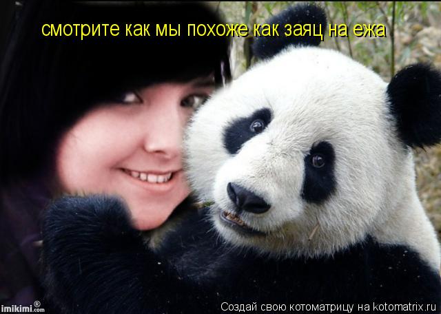 Котоматрица: смотрите как мы похоже как заяц на ежа
