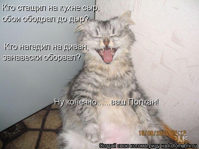 Котоматрица: Кто стащил на кухне сыр, обои ободрал до дыр?  Кто нагадил на диван, занавески оборвал? Ну конечно......ваш Полкан!