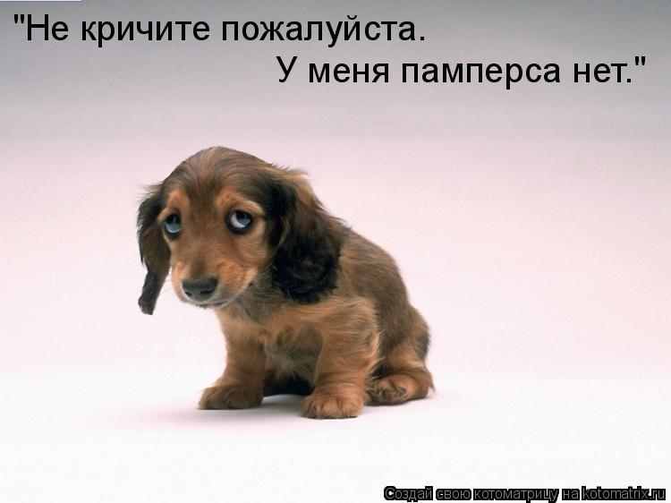 Котоматрица: "Не кричите пожалуйста. У меня памперса нет."