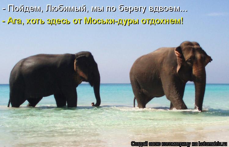 - Пойдем, Любимый, мы по берегу вдвоем... - Ага, хоть здесь от Моськи-дуры отдохнем!... Котоматрица: - Пойдем, Любимый, мы по берегу вдвоем... - Ага, хоть здесь от Моськи-дуры отдохнем!