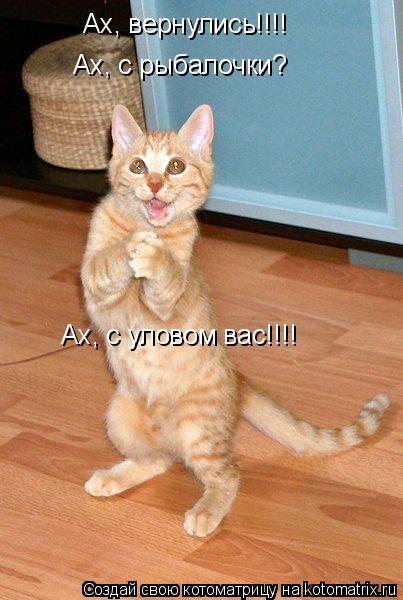 Котоматрица: Ах, вернулись!!!! Ах, с рыбалочки? Ах, с уловом вас!!!!