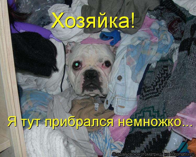 Котоматрица: Я тут прибрался немножко... Хозяйка!