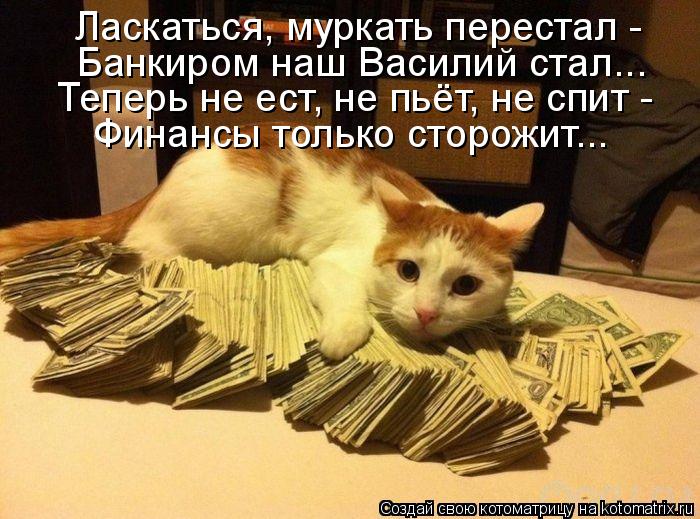 Котоматрица: Ласкаться, муркать перестал -  Банкиром наш Василий стал... Теперь не ест, не пьёт, не спит -  Финансы только сторожит...