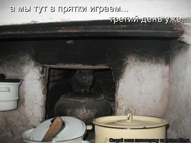 Котоматрица: а мы тут в прятки играем... третий день уже...
