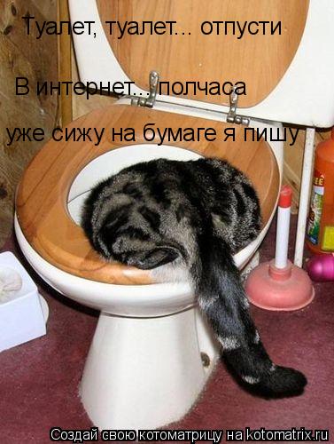 Котоматрица: Туалет, туалет... отпусти В интернет... полчаса уже сижу на бумаге я пишу