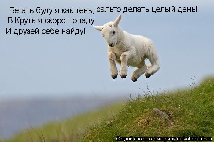 Бегать буду я как тень, сальто делать целый день! В Круть я скоро попаду И друзей себе найду!... Котоматрица: Бегать буду я как тень, сальто делать целый день! В Круть я скоро попаду И друзей себе найду!