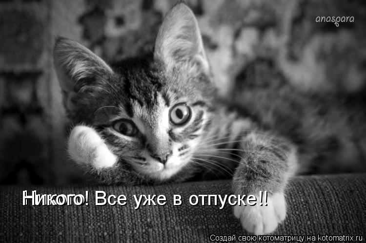 Котоматрица: Никого Никого! Все уже в отпуске!!