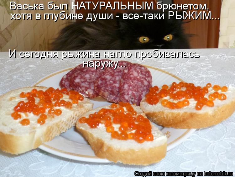 Котоматрица: Васька был НАТУРАЛЬНЫМ брюнетом, хотя в глубине души - все-таки РЫЖИМ...  И сегодня рыжина нагло пробивалась наружу...