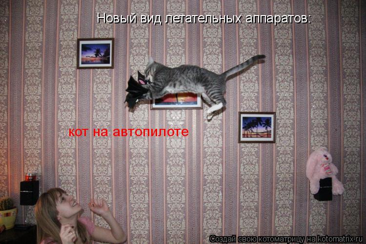 Котоматрица: Новый вид летательных аппаратов: кот на автопилоте