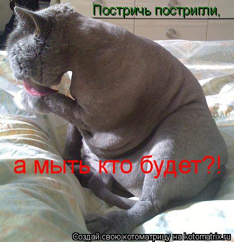 Котоматрица: Постричь постригли, а мыть кто будет?!