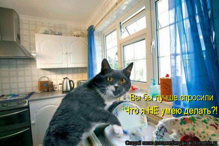 Котоматрица: Вы бы лучше спросили Что я НЕ умею делать?!