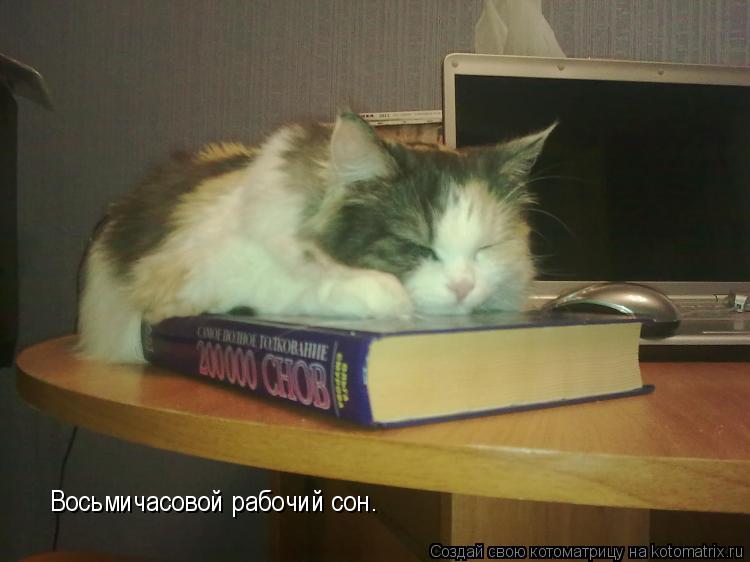 Котоматрица: Восьмичасовой рабочий сон…