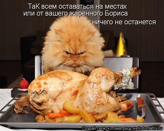 Котоматрица: ТаК всем оставаться на местах или от вашего жаренного Бориса  ничего не останется
