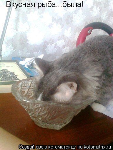 Котоматрица: --Вкусная рыба...была!