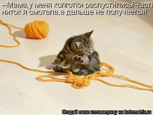 Котоматрица: --Мама,у меня колготки распустились!Часть ниток я смотала,а дальше не получается!