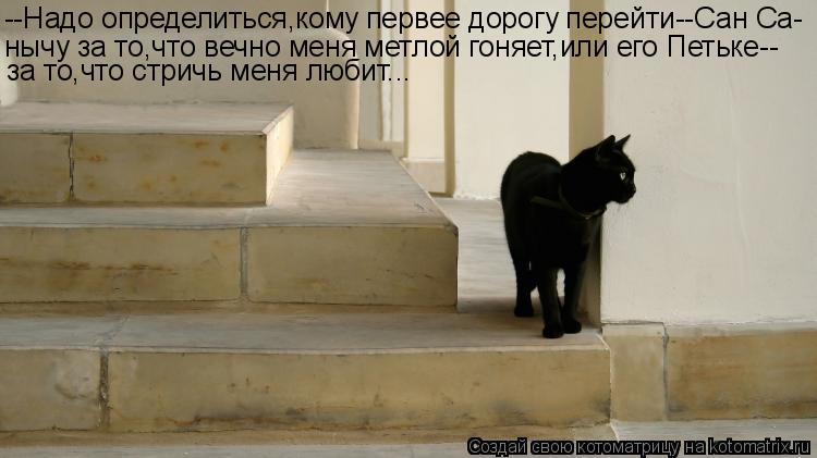 Котоматрица: --Надо определиться,кому первее дорогу перейти--Сан Са- нычу за то,что вечно меня метлой гоняет,или его Петьке-- за то,что стричь меня любит...