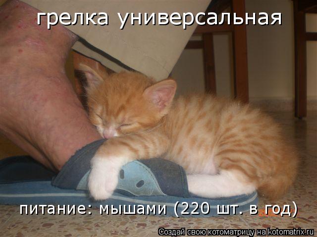 Котоматрица: грелка универсальная питание: мышами (220 шт. в год)