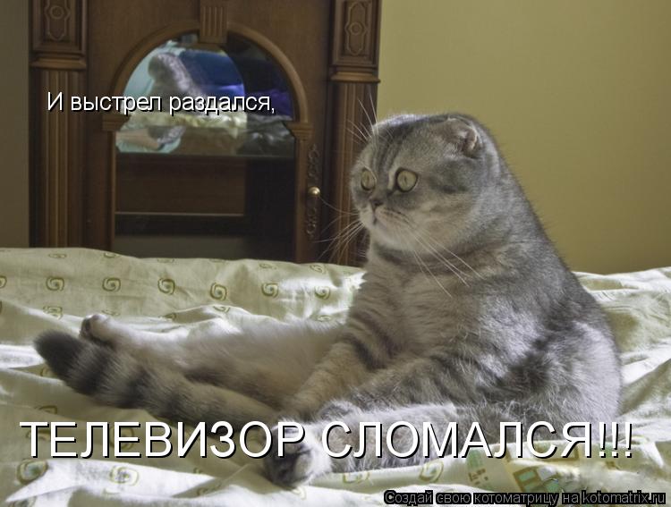 Котоматрица: И выстрел раздался, ТЕЛЕВИЗОР СЛОМАЛСЯ!!!