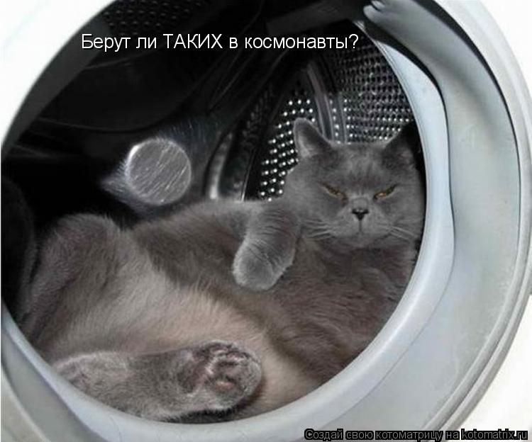 Котоматрица: Берут ли ТАКИХ в космонавты?