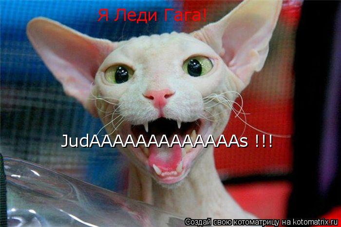 Котоматрица: JudAAAAAAAAAAAAAs !!! Я Леди Гага!