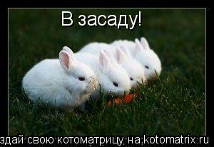 Котоматрица: В засаду!