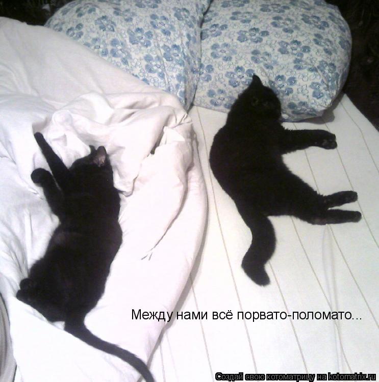 Котоматрица: Между нами всё порвато-поломато...