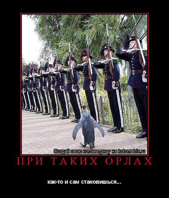 Котоматрица: При таких орлах как-то и сам становишься...