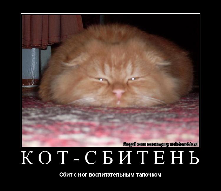 Котоматрица: Кот-сбитень Сбит с ног воспитательным тапочком