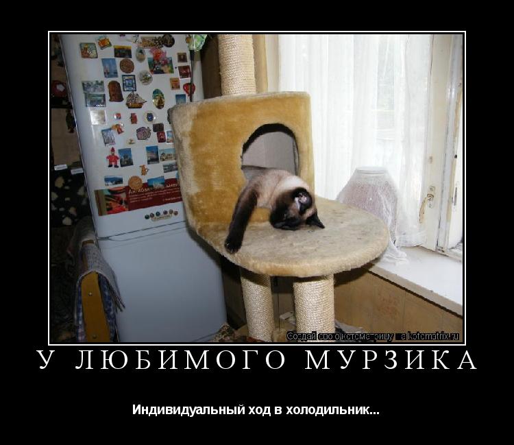 Котоматрица: У любимого Мурзика Индивидуальный ход в холодильник...