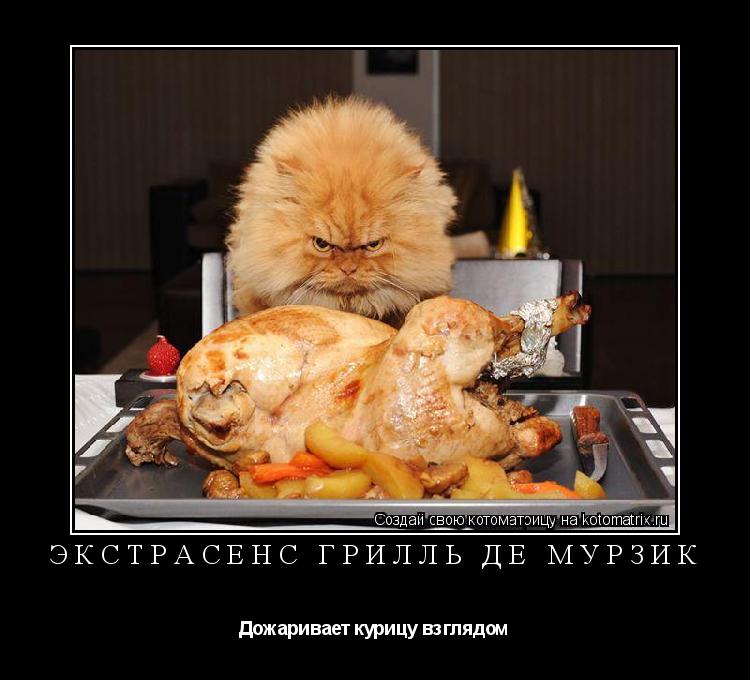 Котоматрица: Экстрасенс Грилль де Мурзик Дожаривает курицу взглядом