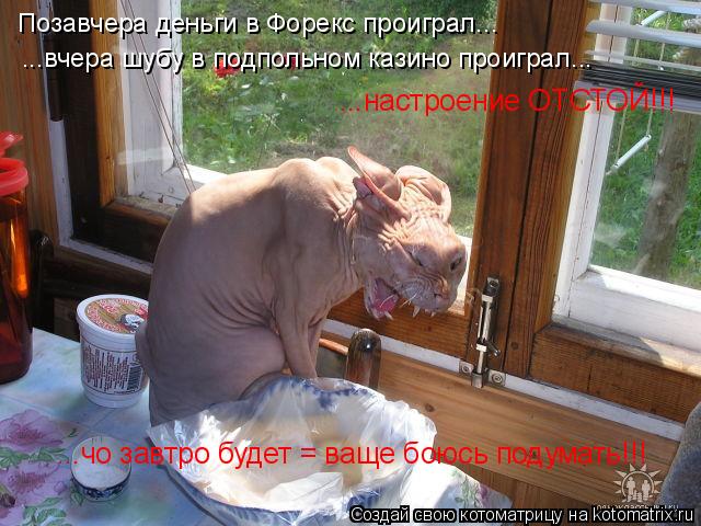 Котоматрица: Позавчера деньги в Форекс проиграл... ...вчера шубу в подпольном казино проиграл... ...настроение ОТСТОЙ!!! ...чо завтро будет = ваще боюсь подума