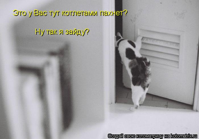 Котоматрица: Это у Вас тут котлетами пахнет? Ну так я зайду?
