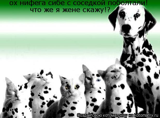 Котоматрица: ох нифега сибе с соседкой поболтали! что же я жене скажу!?