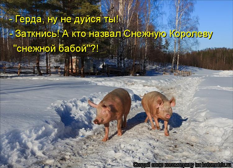 Котоматрица: - Герда, ну не дуйся ты! - Заткнись! А кто назвал Снежную Королеву "снежной бабой"?!