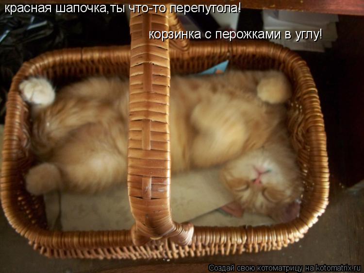 Котоматрица: красная шапочка,ты что-то перепутола! корзинка с перожками в углу!