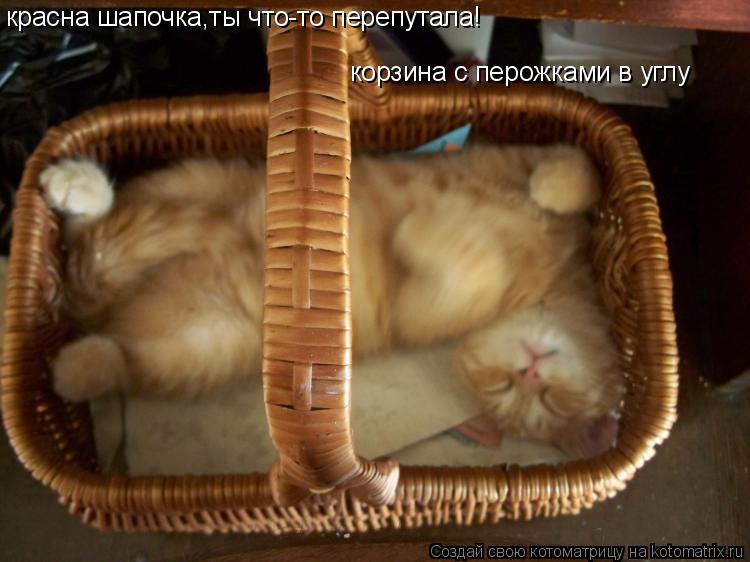 Котоматрица: красна шапочка,ты что-то перепутала! корзина с перожками в углу