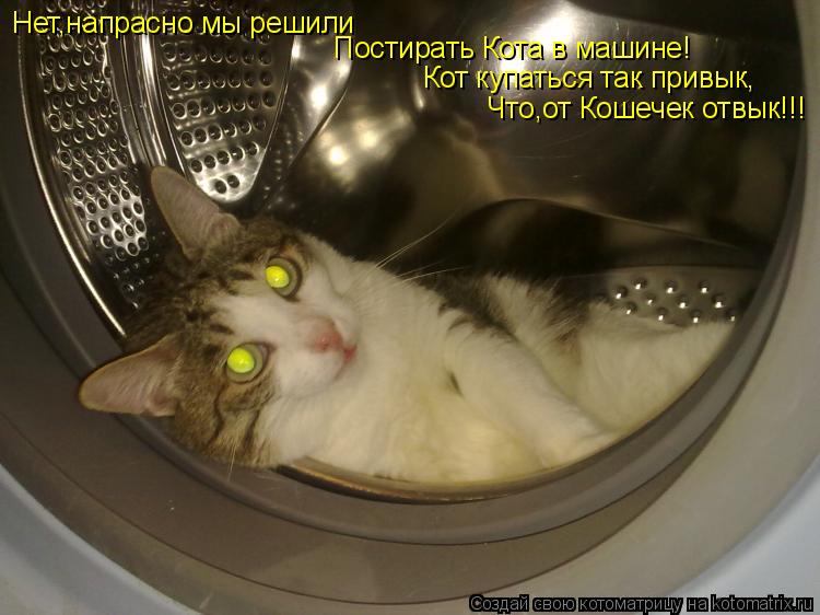 Котоматрица: Нет,напрасно мы решили Постирать Кота в машине! Кот купаться так привык, Что,от Кошечек отвык!!!