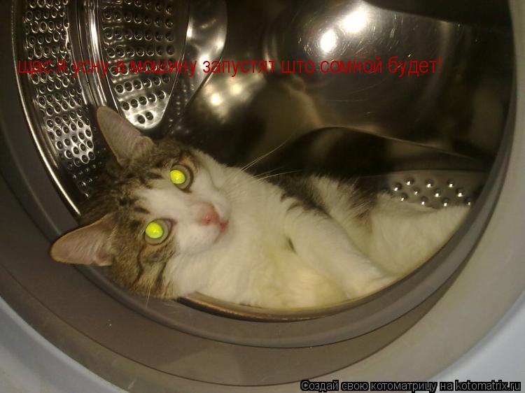 Котоматрица: щас я усну а мошину запустят што сомной будет!