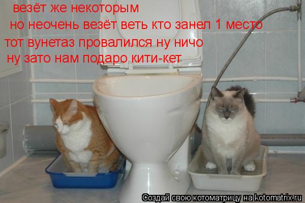 Котоматрица: везёт же некоторым  везёт же некоторым  но неочень везёт веть кто занел 1 место  тот вунетаз провалился ну ничо  ну зато нам подаро кити-кет