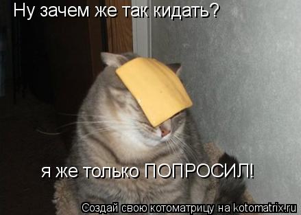 Котоматрица: Ну зачем же так кидать? я же только ПОПРОСИЛ!