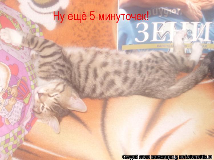 Котоматрица: Ну ещё 5 минуточек!