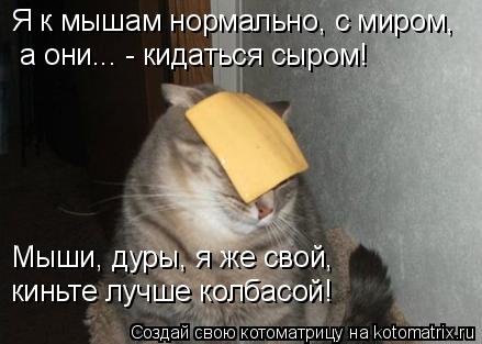 Я к мышам нормально, с миром, а они... - кидаться сыром! Мыши, дуры, я же свой, киньте лучше колбас... Котоматрица: Я к мышам нормально, с миром, а они... - кидаться сыром! Мыши, дуры, я же свой, киньте лучше колбасой!